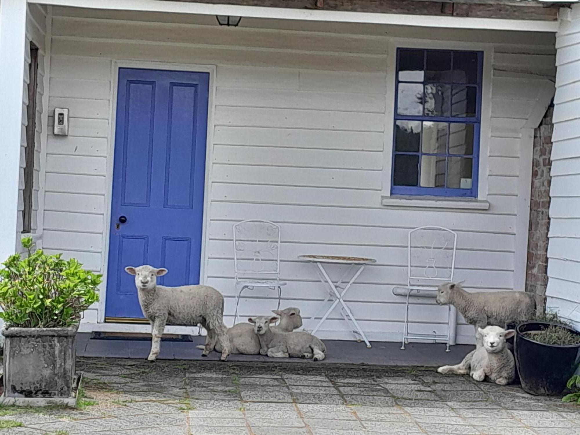 Buttons Cottage In Natures Paradise Nietta Esterno foto